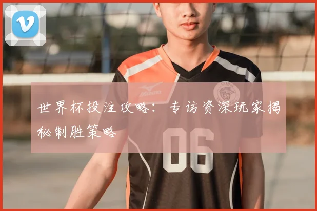 世界杯投注攻略：专访资深玩家揭秘制胜策略