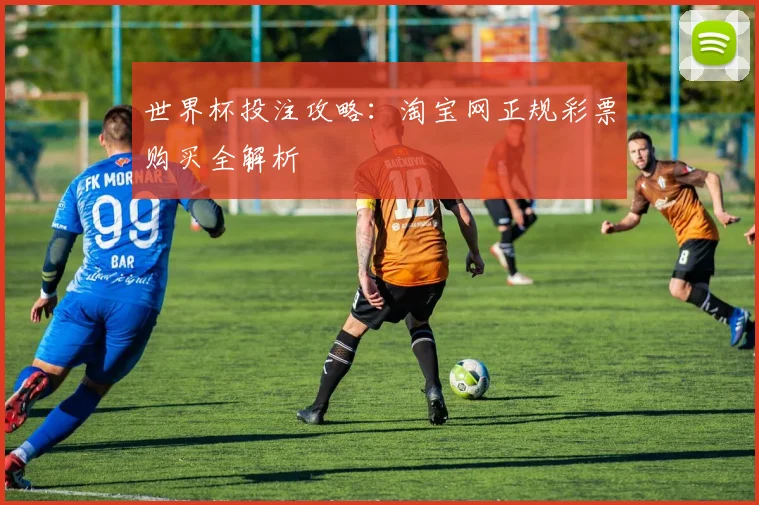 世界杯投注攻略：淘宝网正规彩票购买全解析